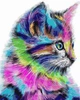 Картина за номерами 40×50 див. Babylon Райдужний Котик (VP 625) - зображення 1