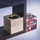 Живой куб Flora Cube «Карликовый гранат» (25732) - изображение 3