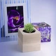 Живой куб Flora Cube «Лаванда» (25733) - изображение 3