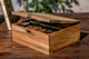 Деревянная шкатулка на 6 часов от ecoWalnut EB-3.3 - изображение 8