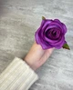 Троянда, висота 5 см, діаметр 8 см, фіолет, 475 - зображення 5