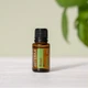 Эфирное масло Базилика doTERRA Basil OIL 15ml - изображение 3