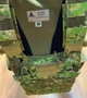 Тактический жилет SPITFIRE Plate Carrier Direct Action камуфляж Размер М - изображение 3
