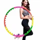 Обруч массажный гимнастический Hula Hoop Profi M 0251 Тренажер для талии - изображение 1