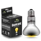 Неодимовая лампа Terrario Banikane Neodymium Light 25W - обогревательная UVA лампа для террариума - изображение 1