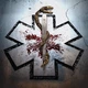 CARCASS – Despicable (CD, U.S.A.) - изображение 1