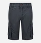 Шорты хлопковые мужские Regatta Shorebay Short RMJ221-FY2 38 Синие с серым (5059404577392) - изображение 2
