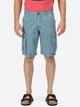 Шорты хлопковые мужские Regatta Shorebay Short RMJ221-TDE 38 Светло-синие (5059404577668) - изображение 1