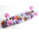 Пенни борд Penny Board Fish Skateboards 22" Graffity ABEC-7 со светящимися колесами - изображение 4