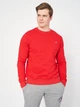 Свитшот мужской Tommy Hilfiger 10815.51 S Красный - изображение 1