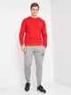 Свитшот мужской Tommy Hilfiger 10815.51 S Красный - изображение 3