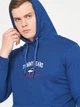 Худі чоловіче Tommy Jeans 10856.3 XL (50) Синє - зображення 4