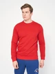 Свитшот мужской Tommy Jeans 10862.4 S Красный - изображение 1