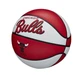 Баскетбольный Мини-Мяч Wilson NBA Team Retro MINI(WTB3200XBCHI) 3 - изображение 1