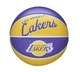 Баскетбольный Мини-Мяч Wilson NBA Team Retro MINI(WTB3200XBLAL) 3 - изображение 2