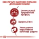 Сухой корм Royal Canin FIT 32 - для взрослых кошек в хорошей форме, 10 кг (2520100) - изображение 4