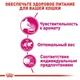 Сухой корм Royal Canin Aroma Exigent - для кошек, требовательных к аромату корма, 2 кг (2543020) - изображение 3