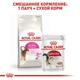 Сухой корм Royal Canin Aroma Exigent - для кошек, требовательных к аромату корма, 2 кг (2543020) - изображение 5