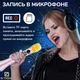 Микрофон Караоке 20 Вт Magic Karaoke L-699 Rose Pink Вокальный Беспроводной с двойной Мембраной низких частот Bluetooth 4.0 Колонка 2в1 Модулятор голоса Эхо с голограммой - изображение 3