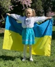 Прапор України державний 60*90см (поліестер/підкладкова тканина) - зображення 5