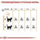 Сухой корм для кошек Royal Canin HAIR AND SKIN для кошек с чувствительной кожей и шерстью 2кг - изображение 5