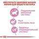 Сухой корм для кошек Royal Canin KITTEN STERILISED для стерилизованных и кастрированных котят 400г - изображение 14