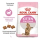 Сухий корм для кішок Royal Canin KITTEN STERILISED для стерилізованих і кастрованих кошенят 2кг - зображення 10