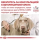 Влажный корм для кошек и собак Royal Canin RECOVERY при восстановлении 195г - изображение 11