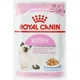 Вологий корм для кішок Royal Canin KITTEN Jelly шматочки в желе для кошенят 85г - зображення 4