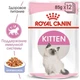 Вологий корм для кішок Royal Canin KITTEN Jelly шматочки в желе для кошенят 85г - зображення 5