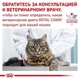Влажный корм для кошек Royal Canin DIABETIC консервы при заболевании диабетом 85г - изображение 2