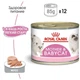 Вологий корм для кішок Royal Canin MOTHERBABYCAT мус для годуючих кішок і кошенят 195г - зображення 4