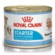 Влажный корм Royal Canin STARTER MOUSSE для кормящих собак и щенков 195г - изображение 1