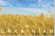 Набор открыток Apriori 8 шт, 10 на 15 см, Я Украинец , Я Украинка, i'm Ukrainian, Ukraine, Флаг Украины, Украина,Патриотическая символика,выставка, презинтация, делигация, 2 вид - изображение 4