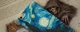 Чохол для Huawei Y6 Prime 2018 Starry Night (10990040099047578) - зображення 3