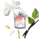 Парфюмированная вода Lancome La Vie Est Belle 50 ml (27-3333350) - изображение 3
