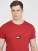Футболка хлопковая длинная мужская Tommy Hilfiger 10879.2 S Красная - изображение 4