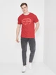 Футболка хлопковая длинная мужская Emporio Armani 10897.2 XL Бордовая - изображение 3