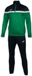 Спортивный костюм Joma DANUBIO зелено-черный M 102746.451 - изображение 1