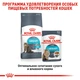 Сухой корм Royal Canin Urinary Care для кошек, помогает поддерживать здоровье мочевыводящих путей 4 кг (3182550842952) - изображение 6