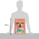 Сухой корм Purina Dog Chow TONUS Adult Light Cane Crocchette con Tacchino с индейкой для собак 2,5 кг (7613034489784) - изображение 5