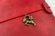 Блокнот Zorrov Vintage "Знак зодиака — козерог" 80 листов со сменными блоками красный (00170000000078530) - изображение 3