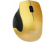 Мышь Aneex E-M656 Gold/Black USB - изображение 1