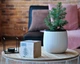 Набор для выращивания Экокубик Голубая Ель HMD 114-10817371 - изображение 3
