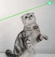 Лазерна указка Laser pointer YL - 303 10000 метрів лазер зелений - изображение 7