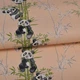 Обои виниловые Vinil Wallpaper Factory Панды декор 1,06х10,05м персиковый (ДХН-1427/1) - изображение 1