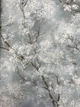 Обои виниловые на флизелиновой основе AS Creation New Walls 0,53х10,05м бирюзовый (37420-3) - изображение 2