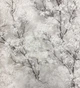 Обои виниловые на флизелиновой основе AS Creation New Walls 0,53х10,05м бежевый (37420-2) - изображение 2