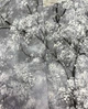 Обои виниловые на флизелиновой основе AS Creation New Walls 0,53х10,05м серый (37420-1) - изображение 4