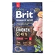 Сухий корм для собак Brit Premium Dog Junior L 3 кг (8595602526420) - зображення 2
